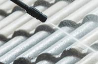 rated Pillwell roof cleaning companies