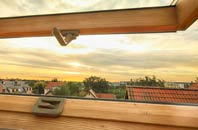 rated Pillwell roof window companies